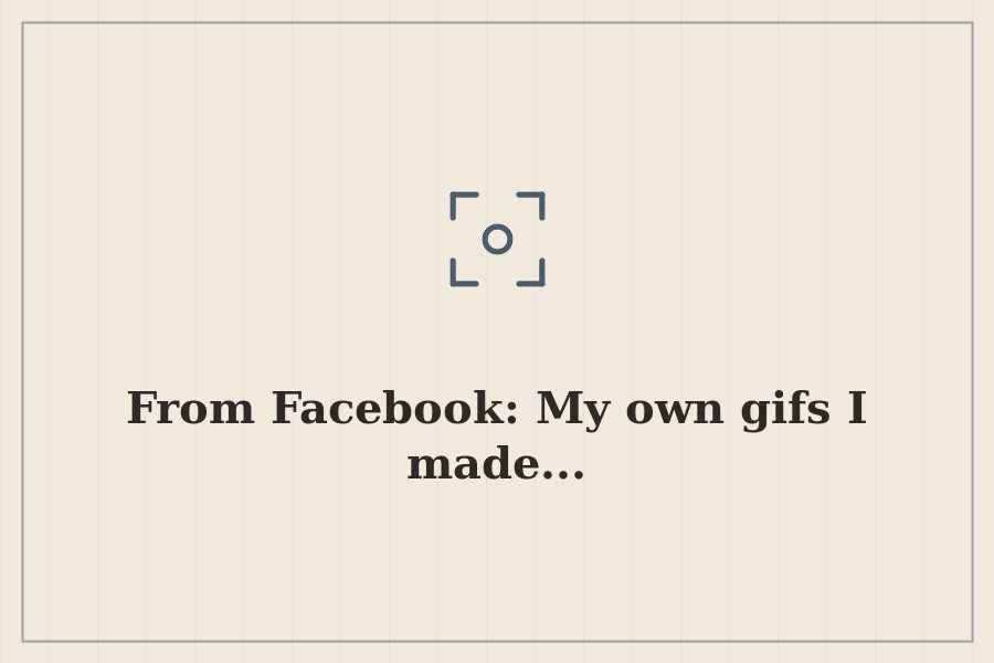 From Facebook: My own gifs I made... — cover