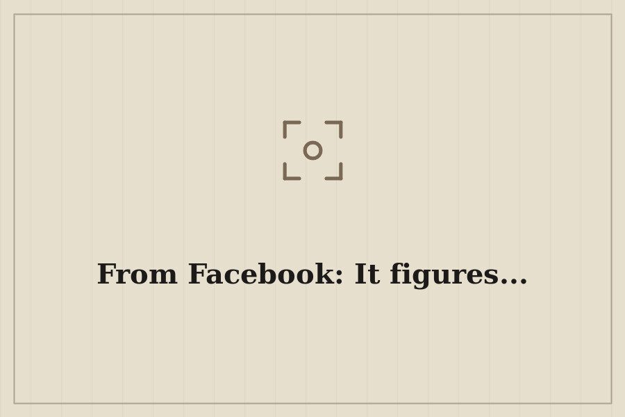 From Facebook: It figures... — cover