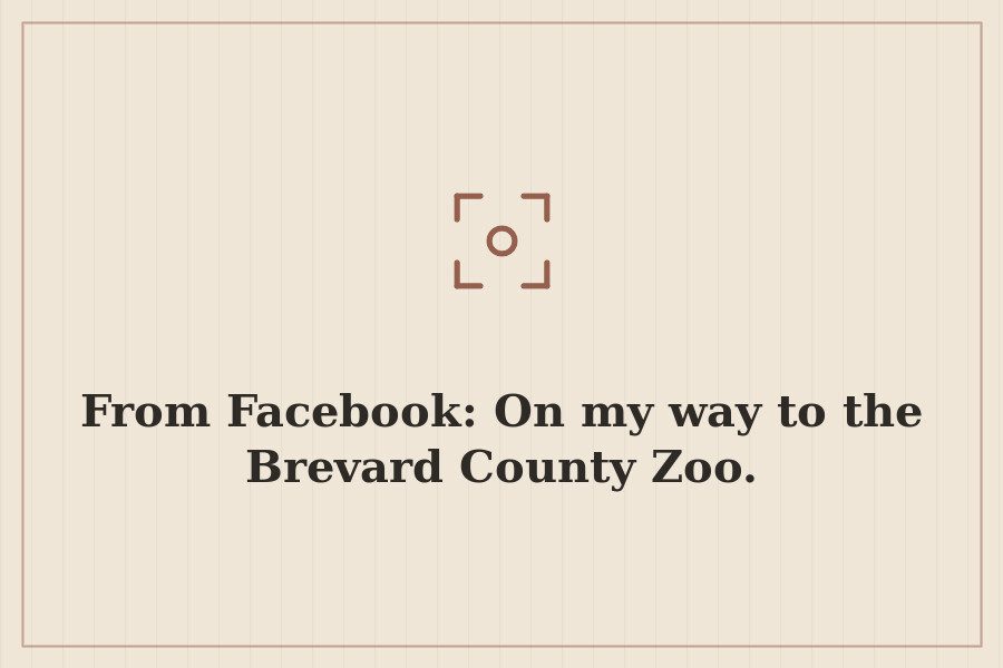 From Facebook: On my way to the Brevard County Zoo. — cover