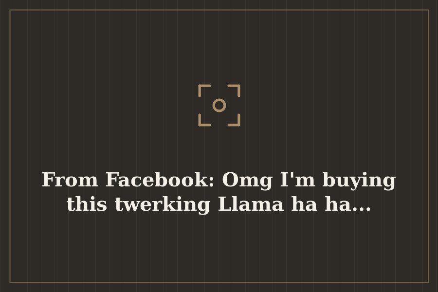 From Facebook: Omg I'm buying this twerking Llama ha ha... — cover