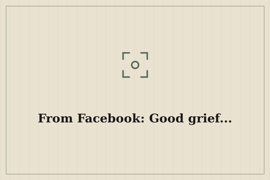 From Facebook: Good grief... — cover