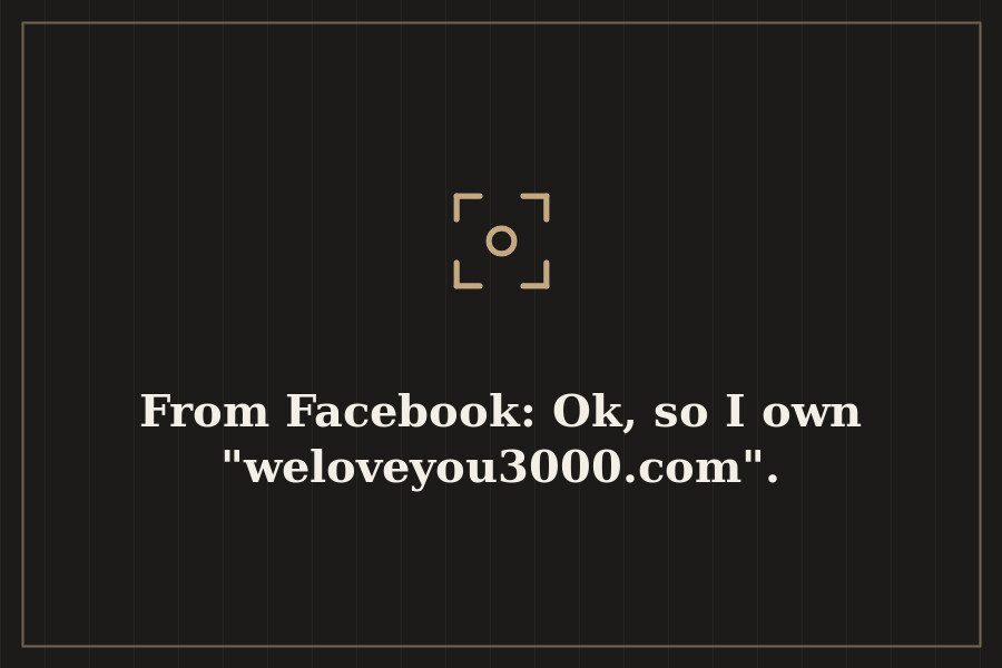 From Facebook: Ok, so I own "weloveyou3000.com". — cover