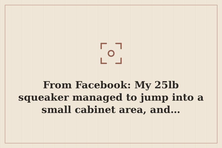 From Facebook: My 25lb squeaker managed to jump into a small cabinet area, and… — cover