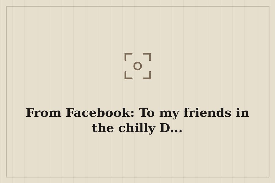 From Facebook: To my friends in the chilly D... — cover