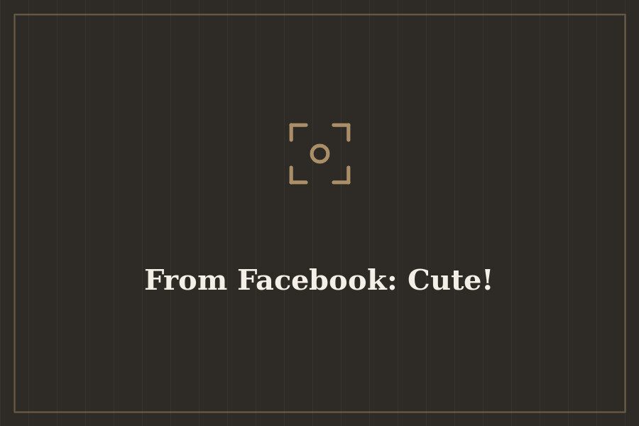 From Facebook: Cute! — cover