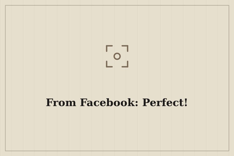 From Facebook: Perfect! — cover