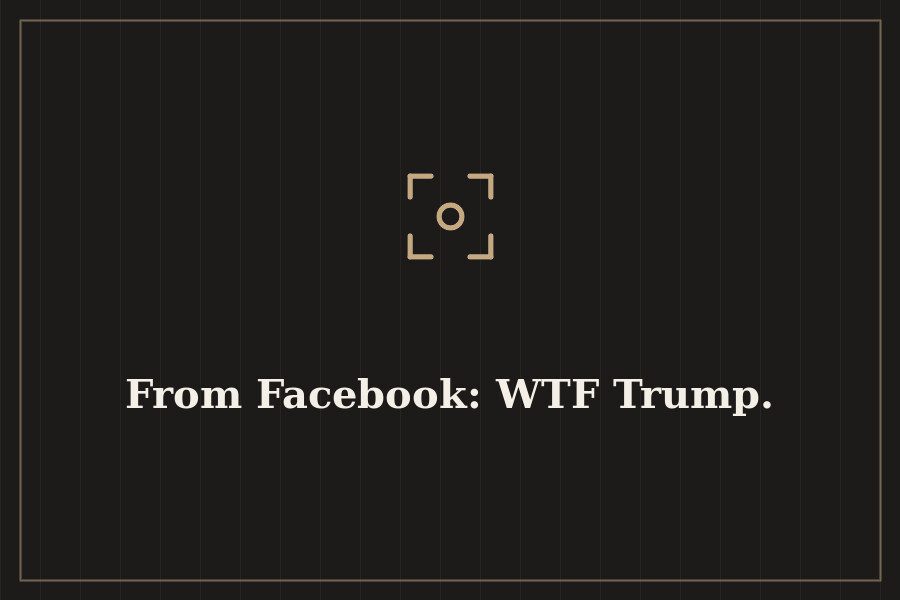 From Facebook: WTF Trump. — cover
