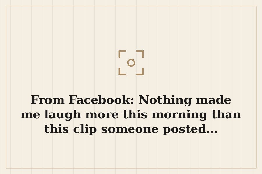 From Facebook: Nothing made me laugh more this morning than this clip someone posted… — cover