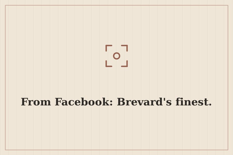 From Facebook: Brevard's finest. — cover