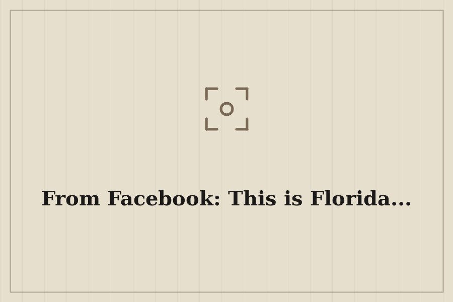 From Facebook: This is Florida... — cover