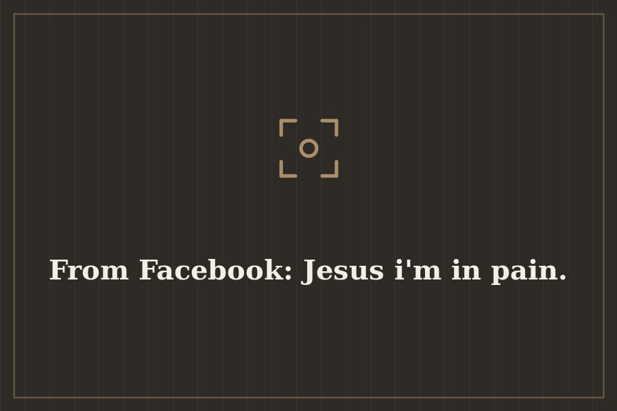 From Facebook: Jesus i'm in pain. — cover