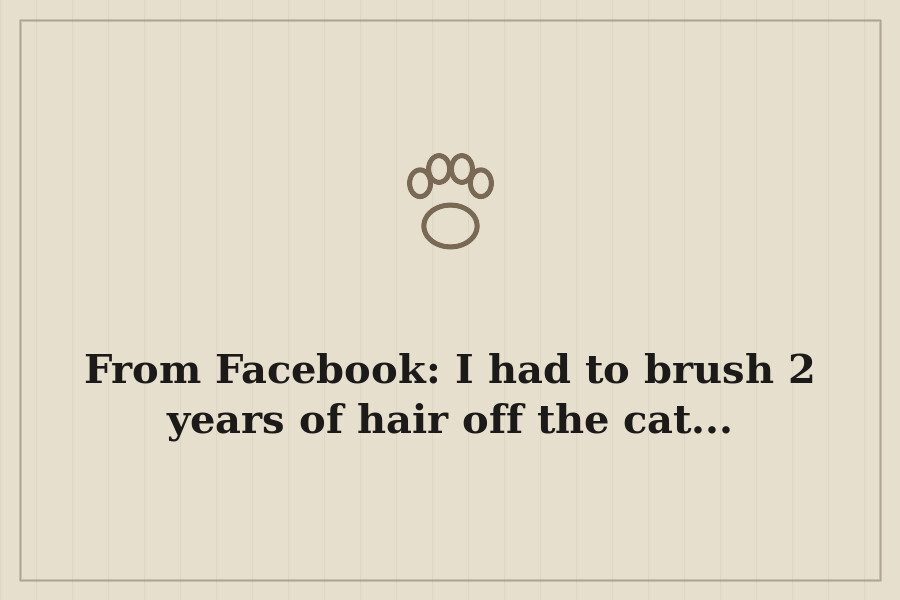 From Facebook: I had to brush 2 years of hair off the cat... — cover