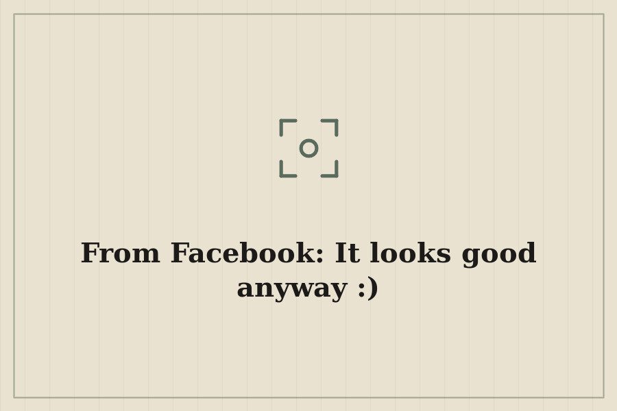 From Facebook: It looks good anyway :) — cover