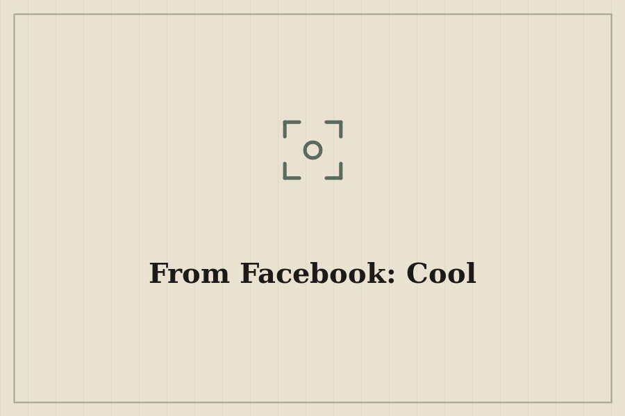 From Facebook: Cool — cover