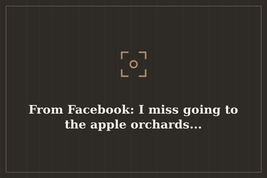 From Facebook: I miss going to the apple orchards... — cover
