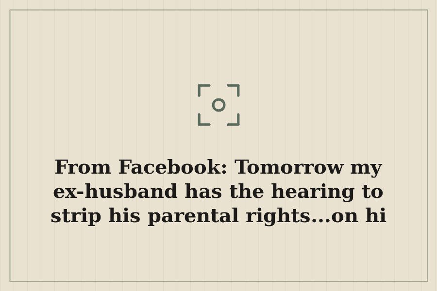 From Facebook: Tomorrow my ex husband has the hearing to strip his parental rights...on hi — cover