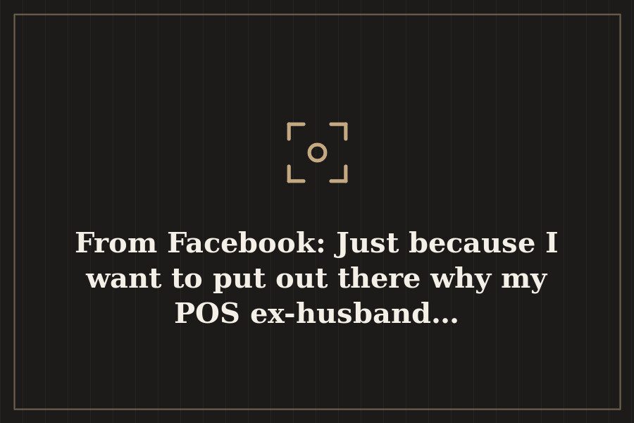 From Facebook: Just because I want to put out there why my POS ex husband… — cover