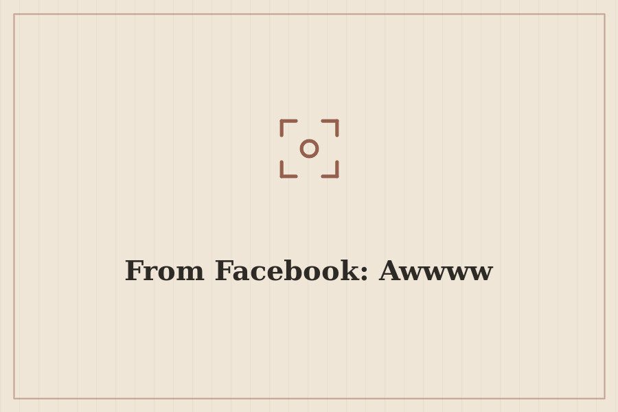 From Facebook: Awwww — cover