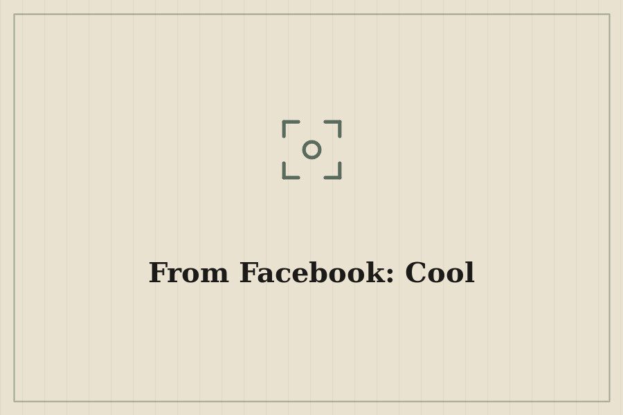 From Facebook: Cool — cover