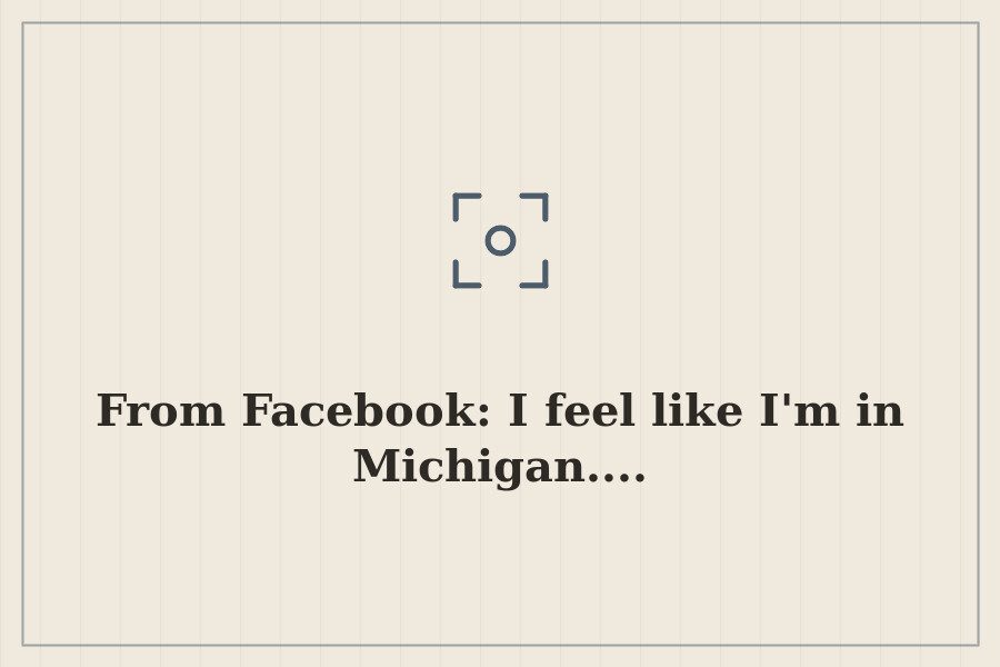 From Facebook: I feel like I'm in Michigan.... — cover