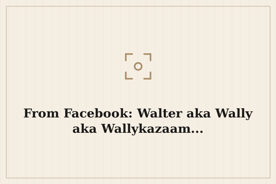 From Facebook: Walter aka Wally aka Wallykazaam... — cover
