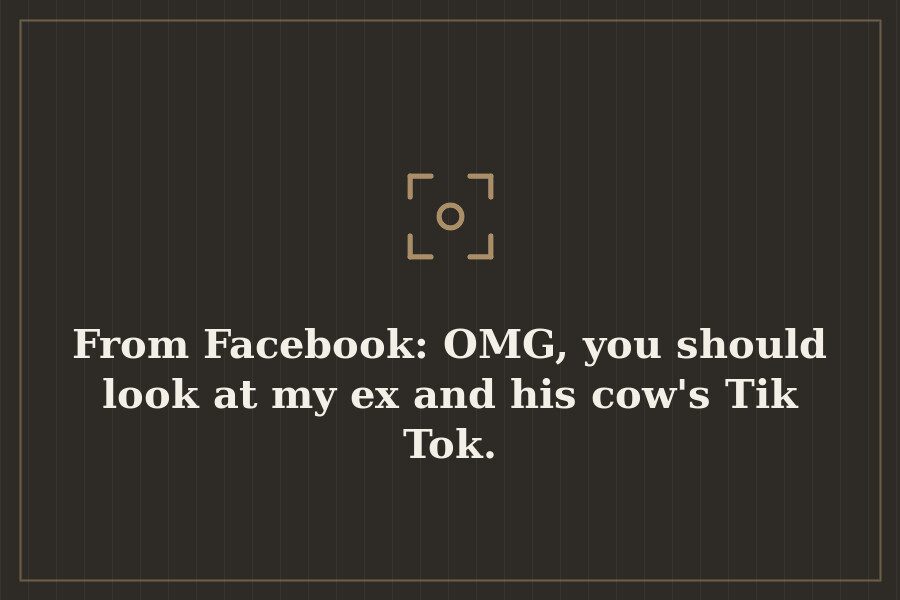 From Facebook: OMG, you should look at my ex and his cow's Tik Tok. — cover