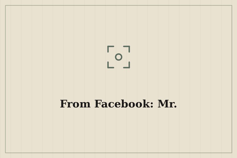 From Facebook: Mr. — cover