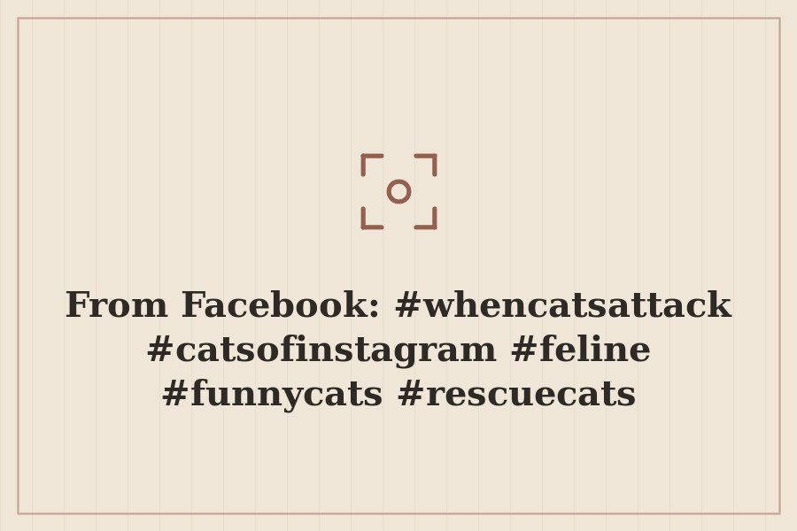 From Facebook: #whencatsattack #catsofinstagram #feline #funnycats #rescuecats #followme # — cover
