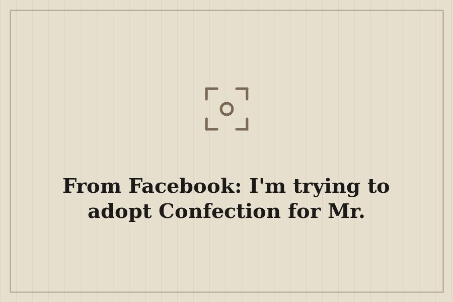 From Facebook: I'm trying to adopt Confection for Mr. — cover