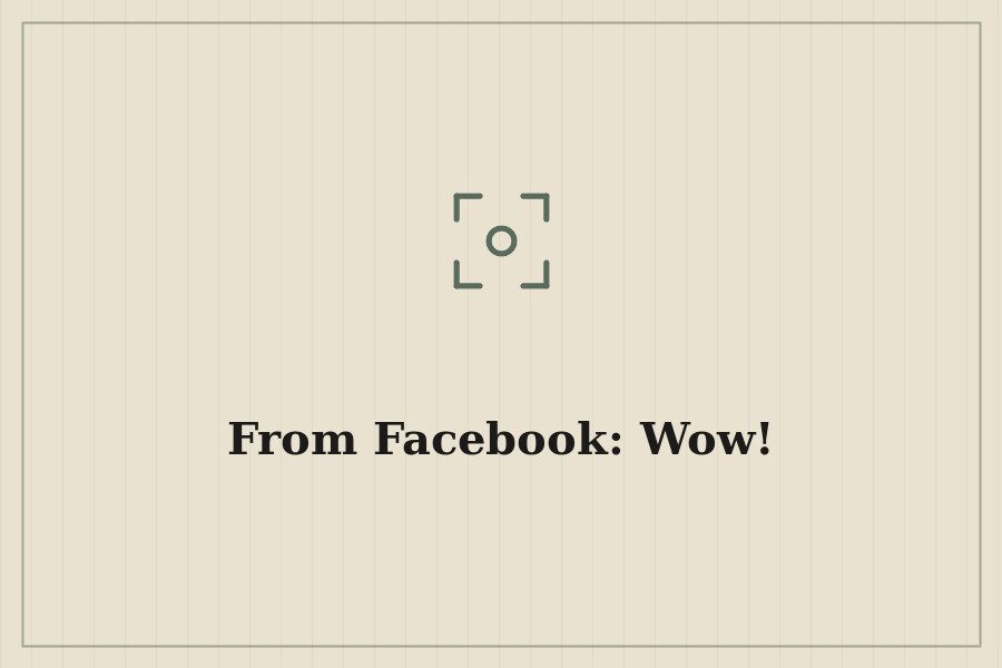 From Facebook: Wow! — cover