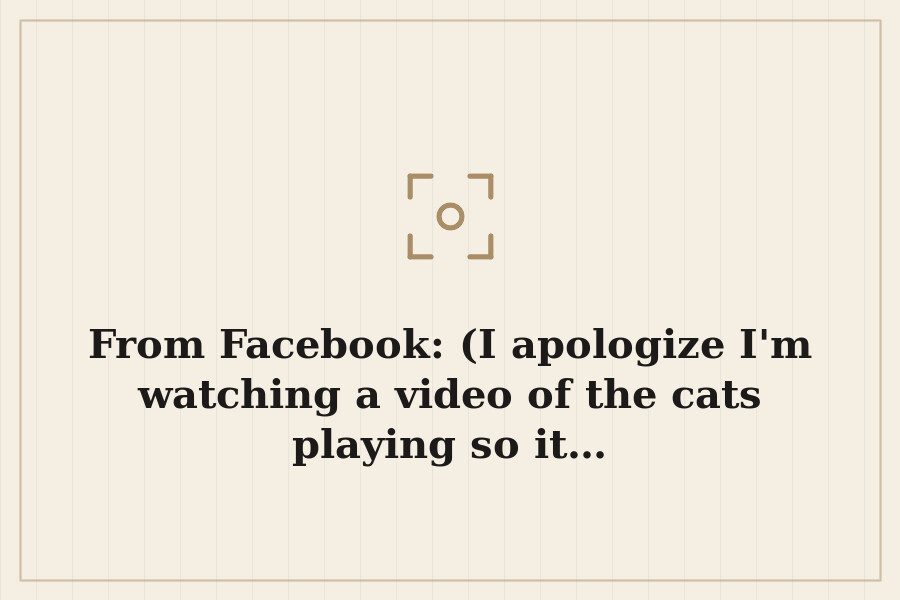 From Facebook: (I apologize I'm watching a video of the cats playing so it… — cover