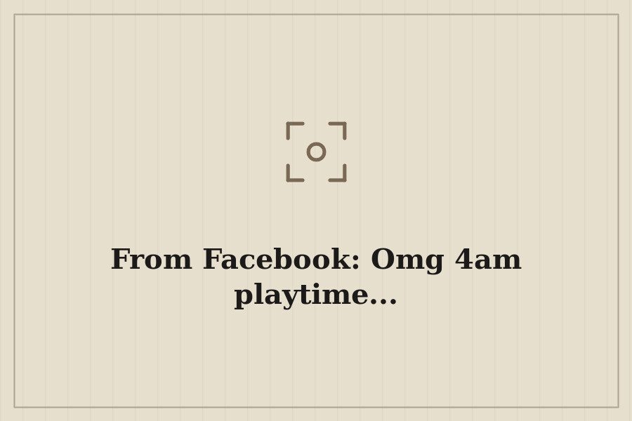 From Facebook: Omg 4am playtime... — cover