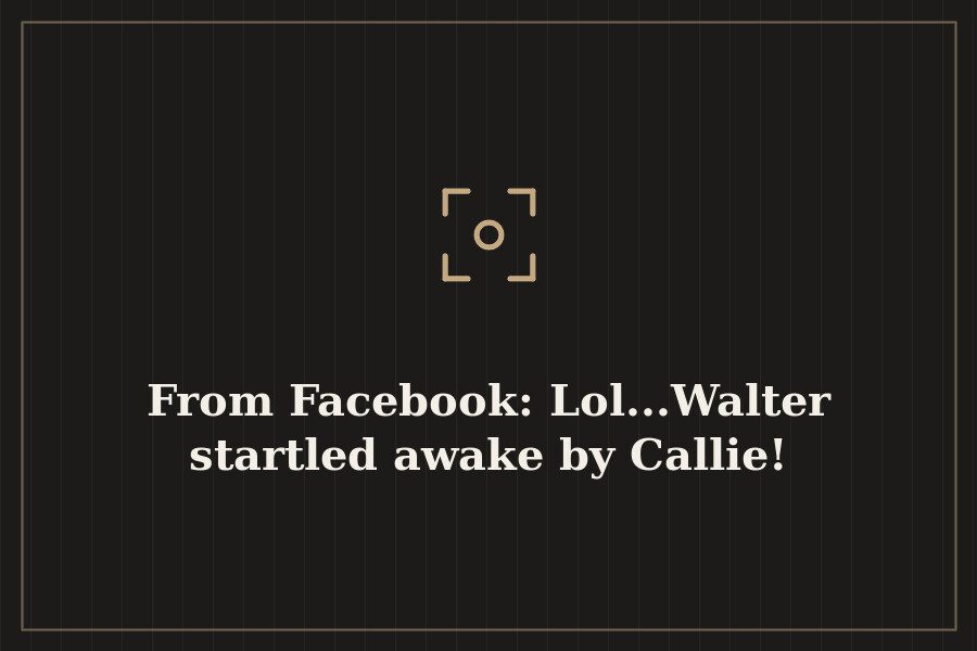 From Facebook: Lol...Walter startled awake by Callie! — cover