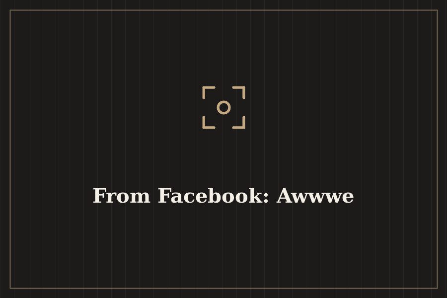 From Facebook: Awwwe — cover