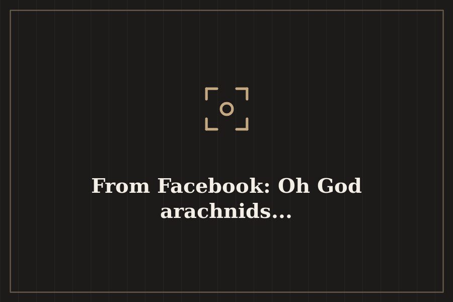 From Facebook: Oh God arachnids... — cover