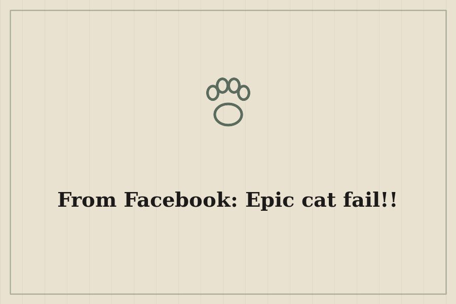 From Facebook: Epic cat fail!! — cover