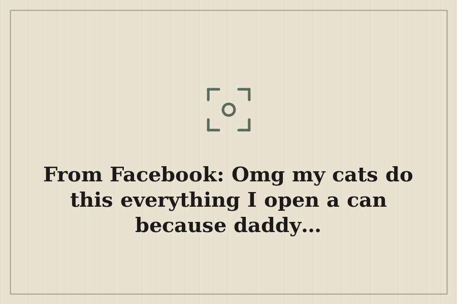 From Facebook: Omg my cats do this everything I open a can because daddy… — cover