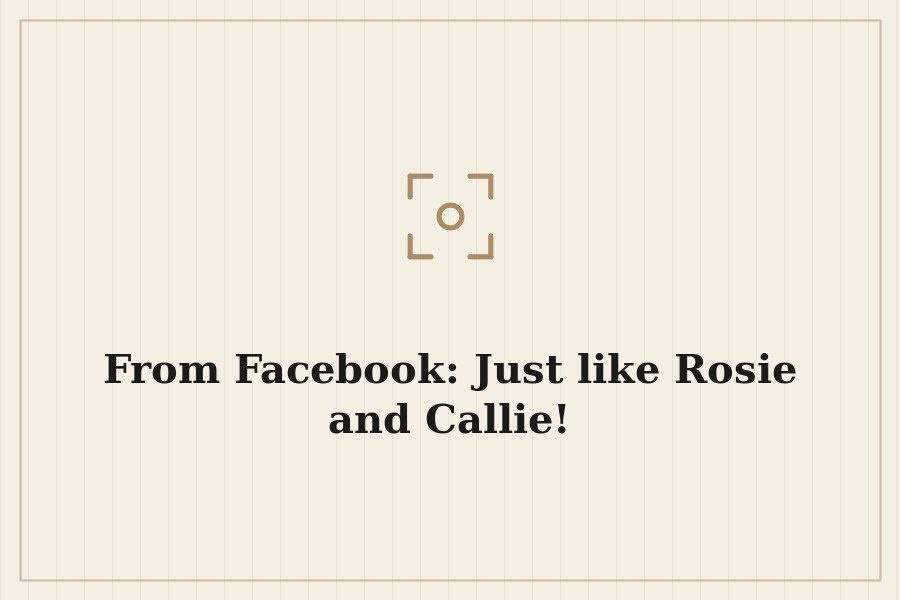 From Facebook: Just like Rosie and Callie! — cover