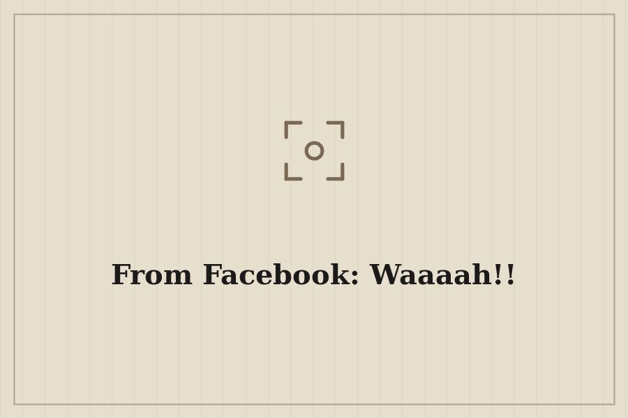 From Facebook: Waaaah!! — cover
