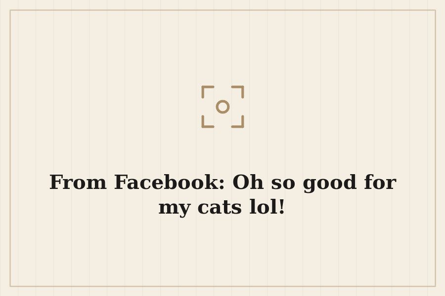 From Facebook: Oh so good for my cats lol! — cover