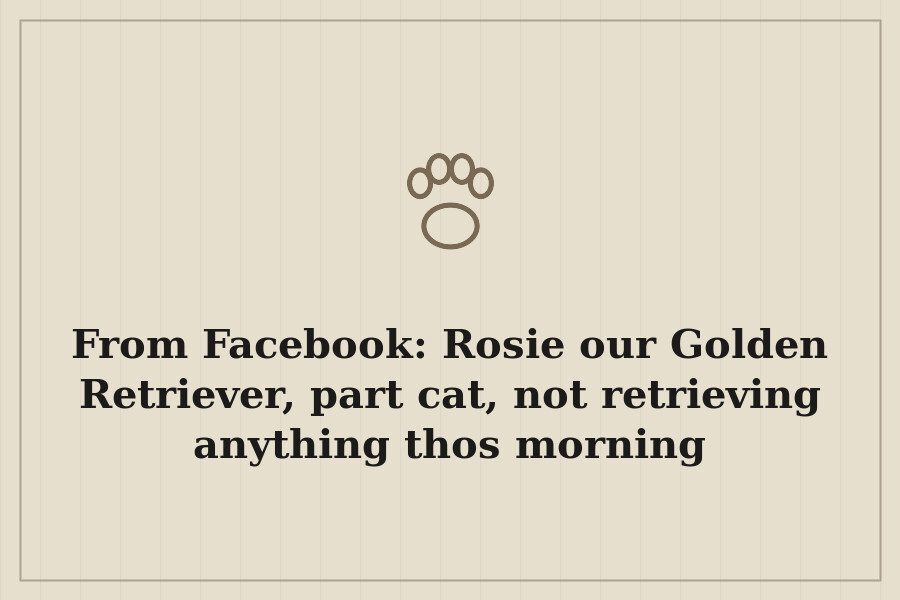 From Facebook: Rosie our Golden Retriever, part cat, not retrieving anything thos morning — cover