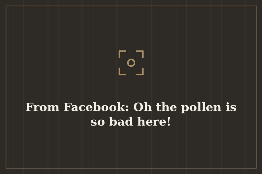 From Facebook: Oh the pollen is so bad here! — cover