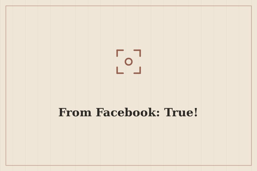 From Facebook: True! — cover