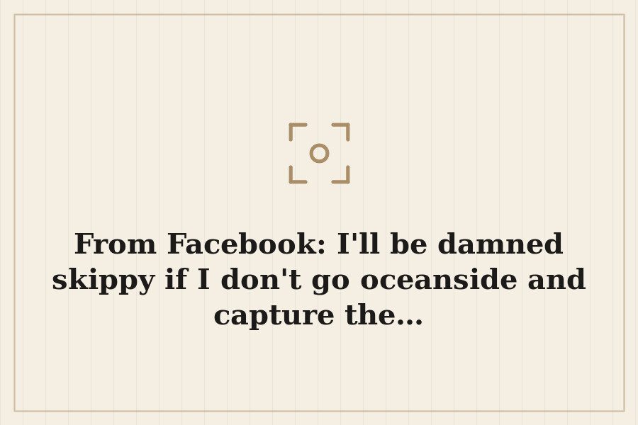 From Facebook: I'll be damned skippy if I don't go oceanside and capture the… — cover
