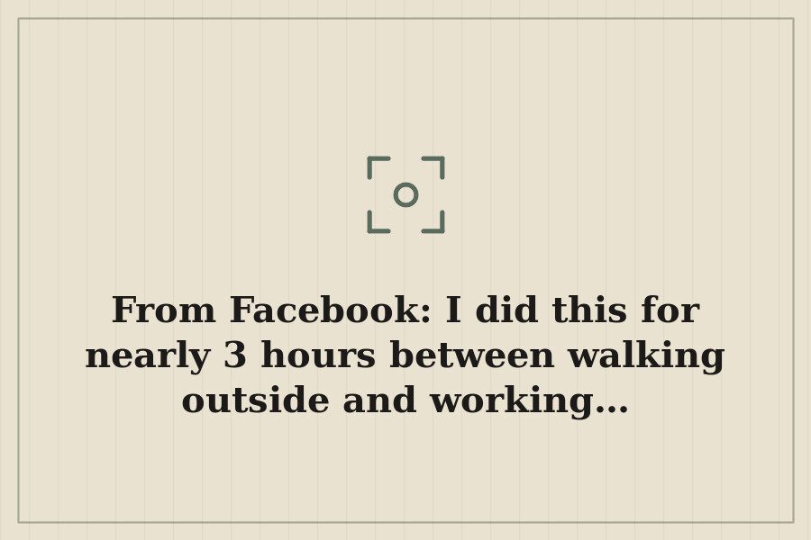 From Facebook: I did this for nearly 3 hours between walking outside and working… — cover