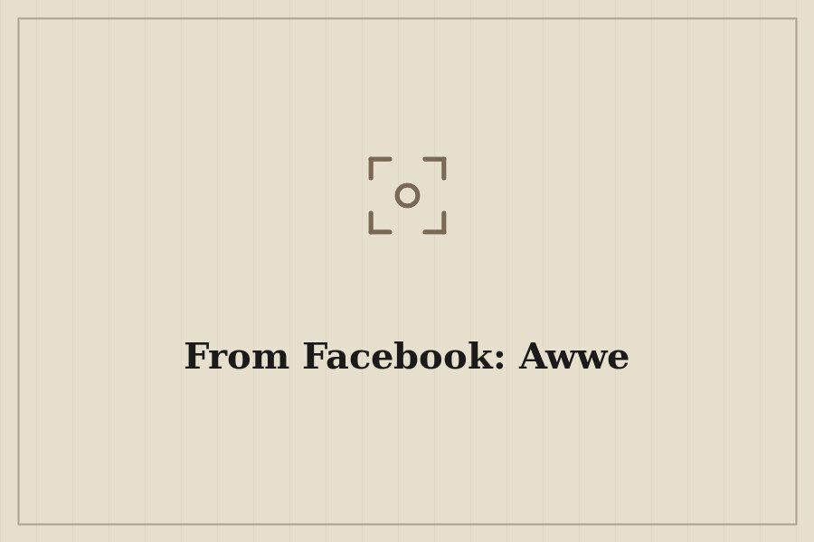 From Facebook: Awwe — cover