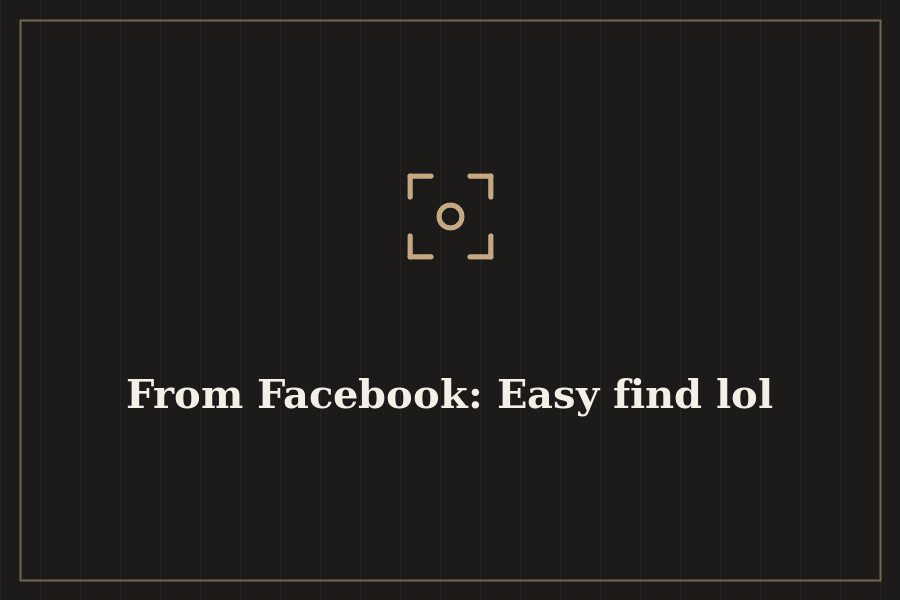 From Facebook: Easy find lol — cover