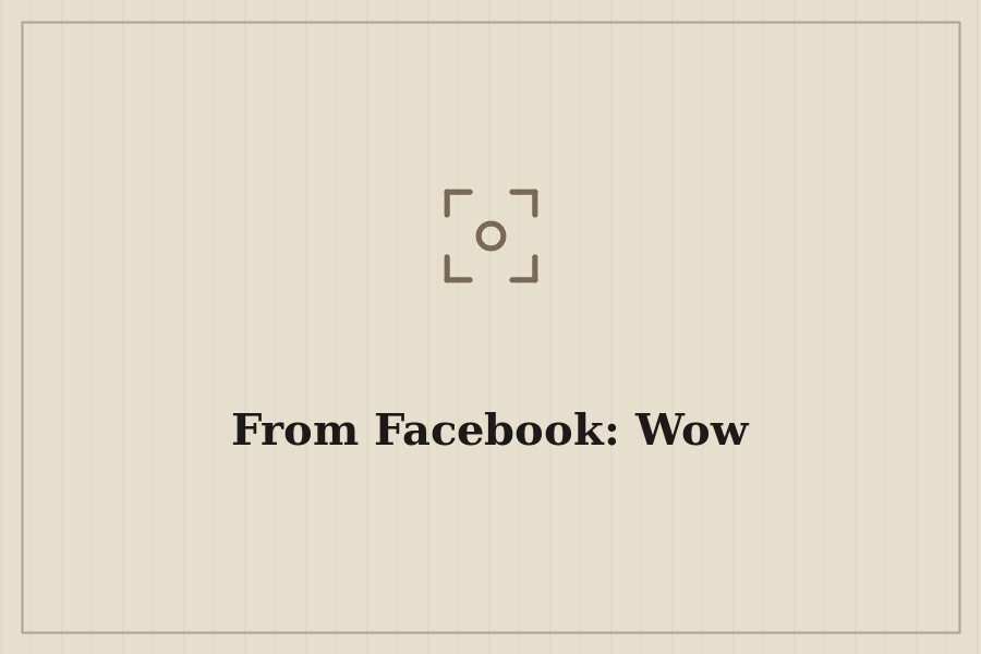 From Facebook: Wow — cover