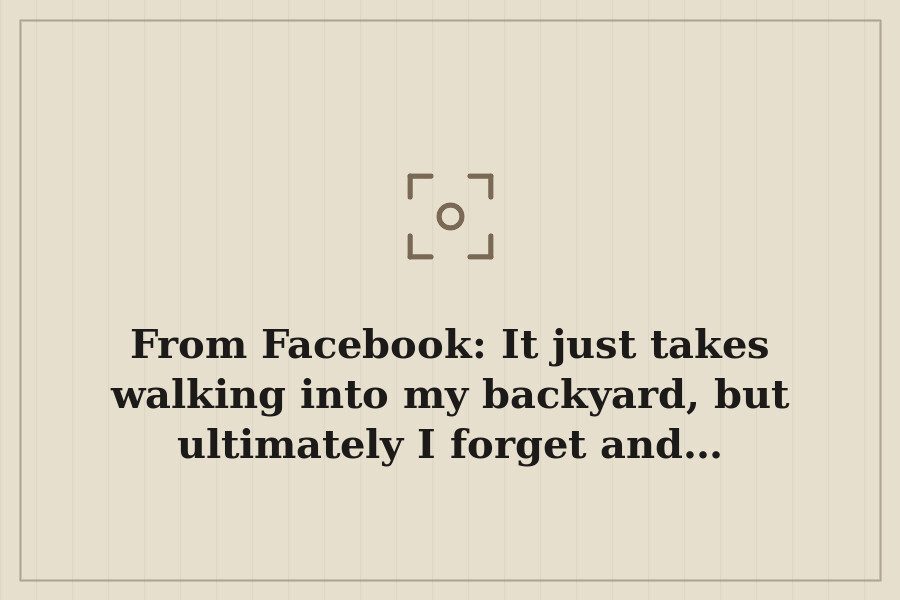 From Facebook: It just takes walking into my backyard, but ultimately I forget and… — cover