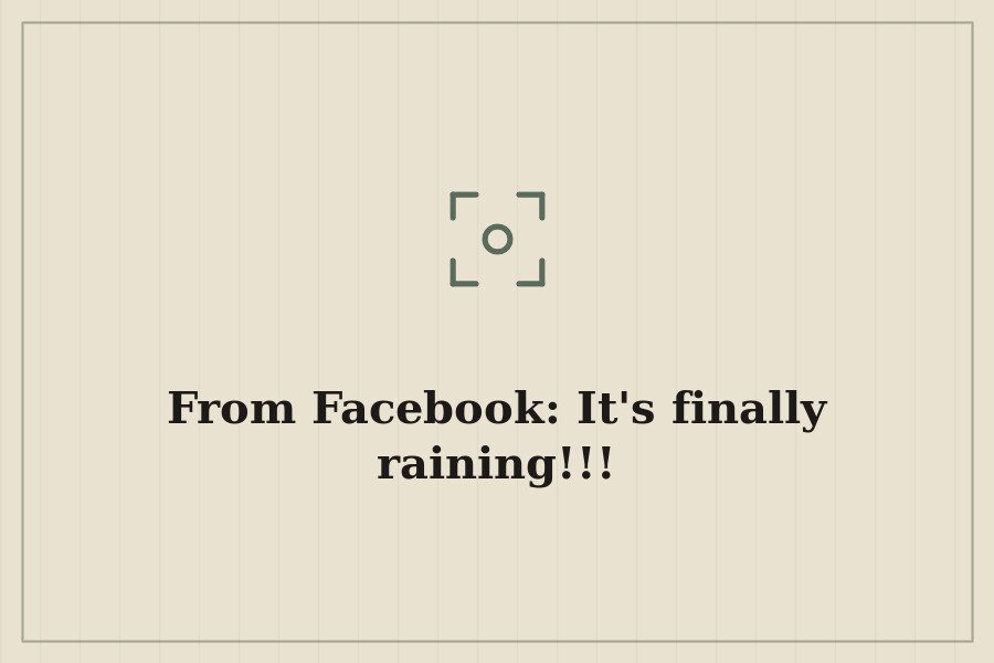 From Facebook: It's finally raining!!! — cover